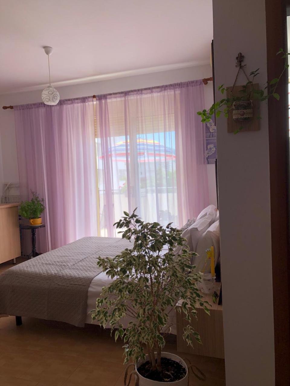 Studio Of Shpresa Vlorë Eksteriør bilde